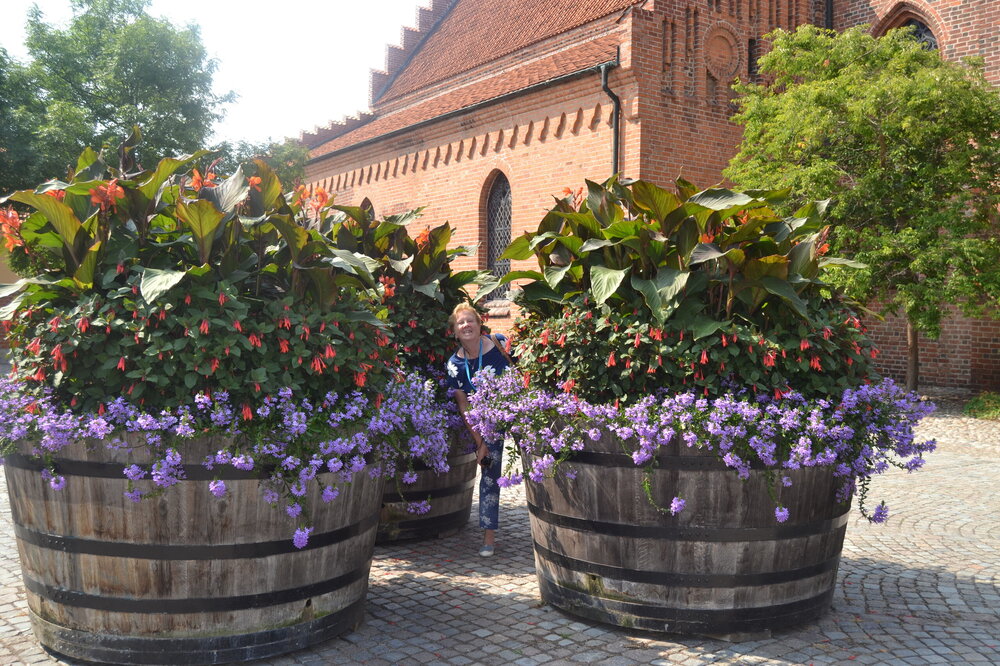 DSC_0272 — копия.JPG