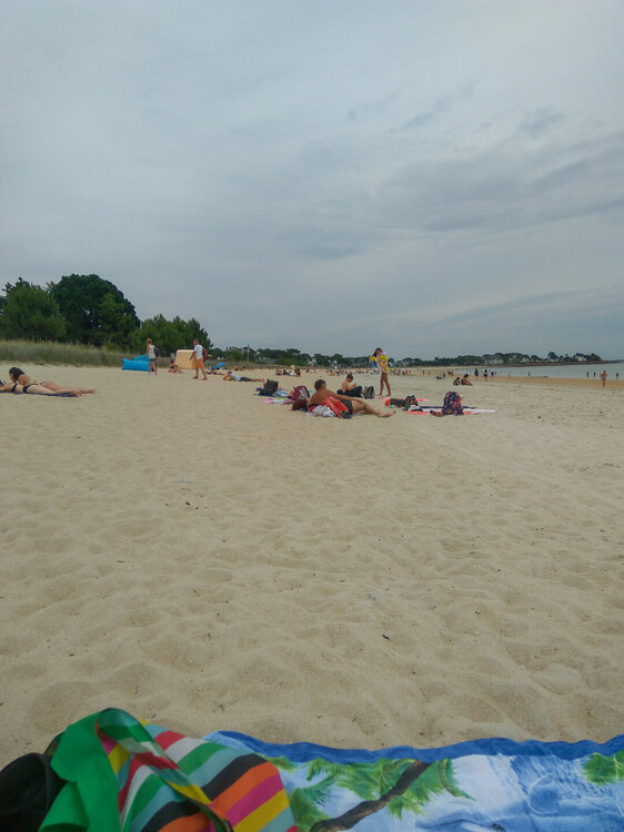 IMG_20180719_143412 - копия.jpg