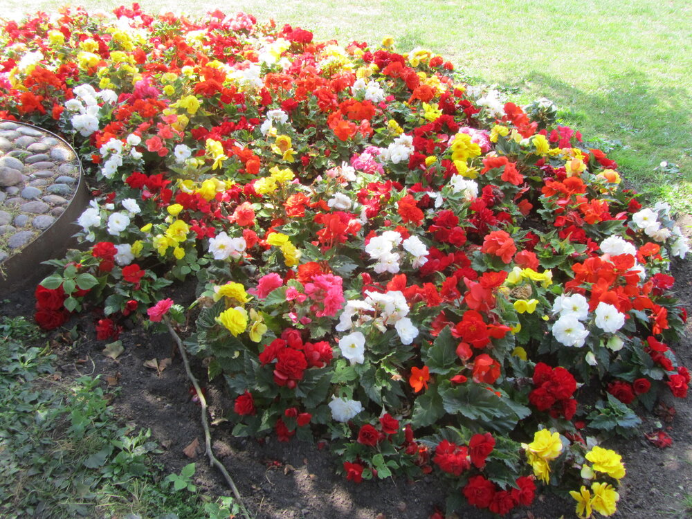 IMG_9442 — копия.JPG