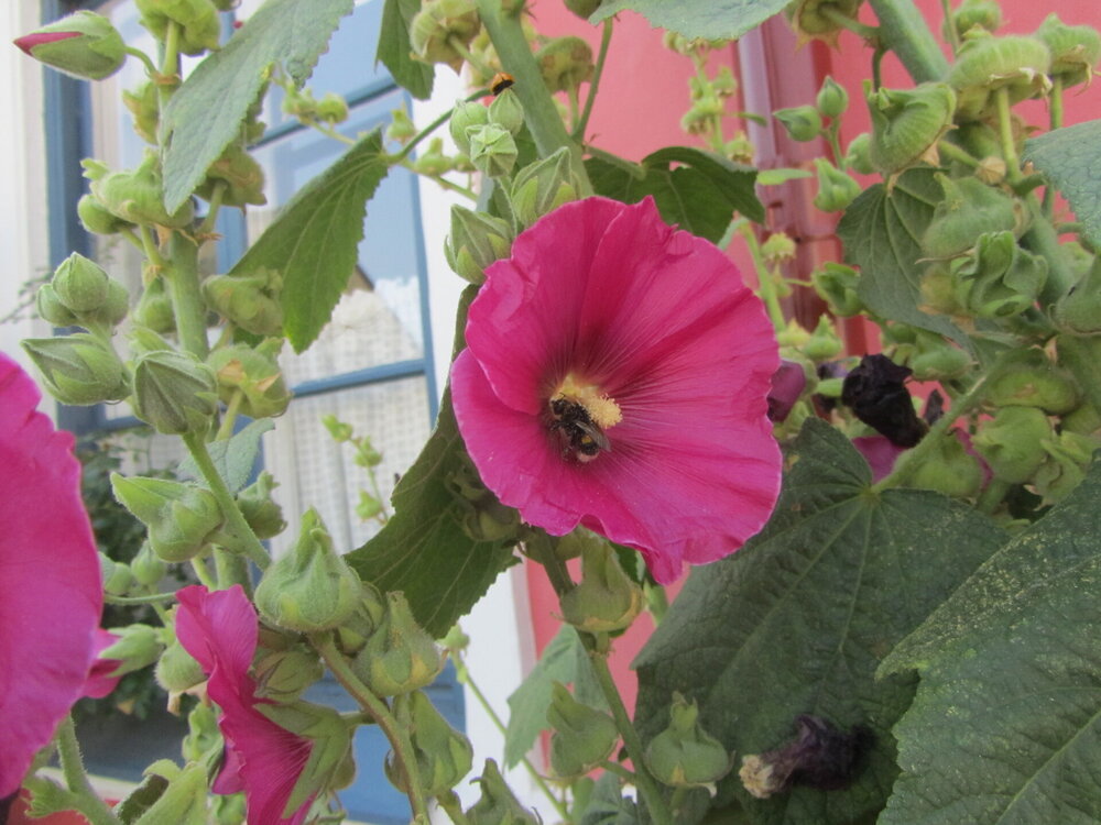 IMG_9447 — копия.JPG