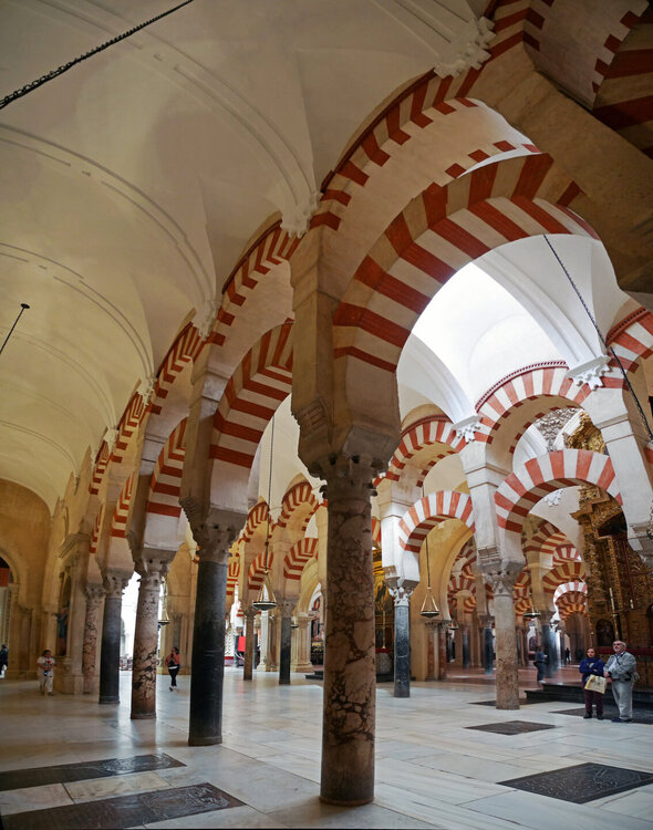 Панорама 601.jpg