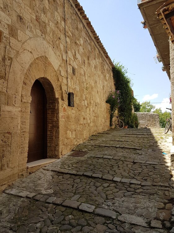 4 20180805_135031.jpg