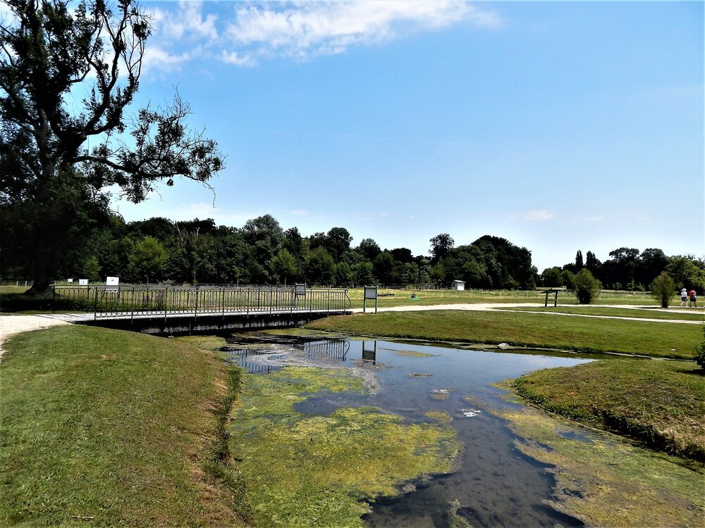 Шантийи( ферма7).jpg