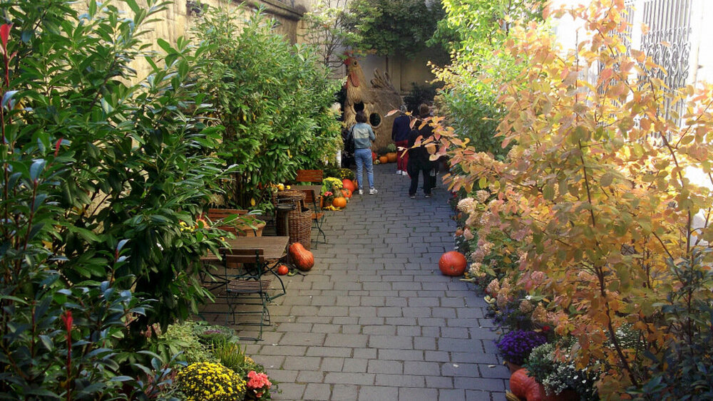 Золотые стёжки Чешского Рая 1756.JPG