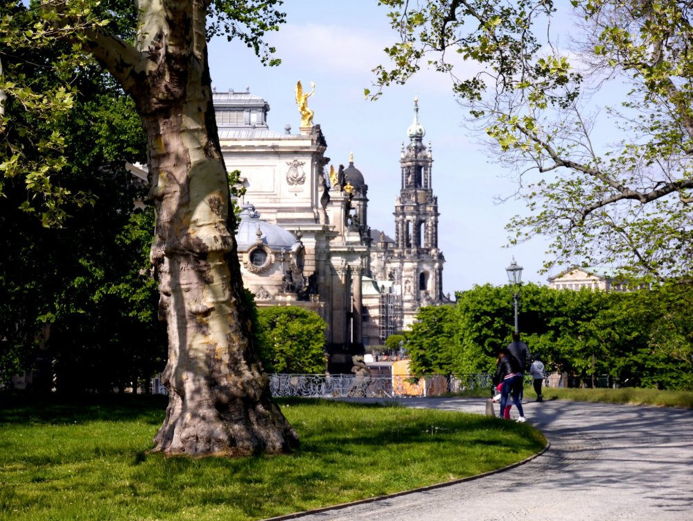 _1400131.JPG 2.jpg 2.jpg