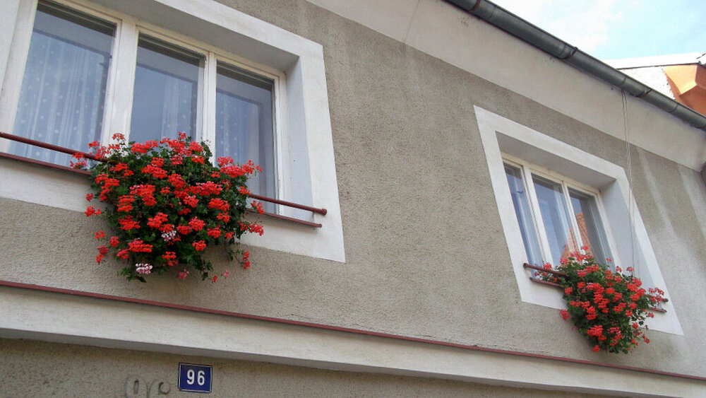 Золотые стёжки Чешского Рая 1989.JPG