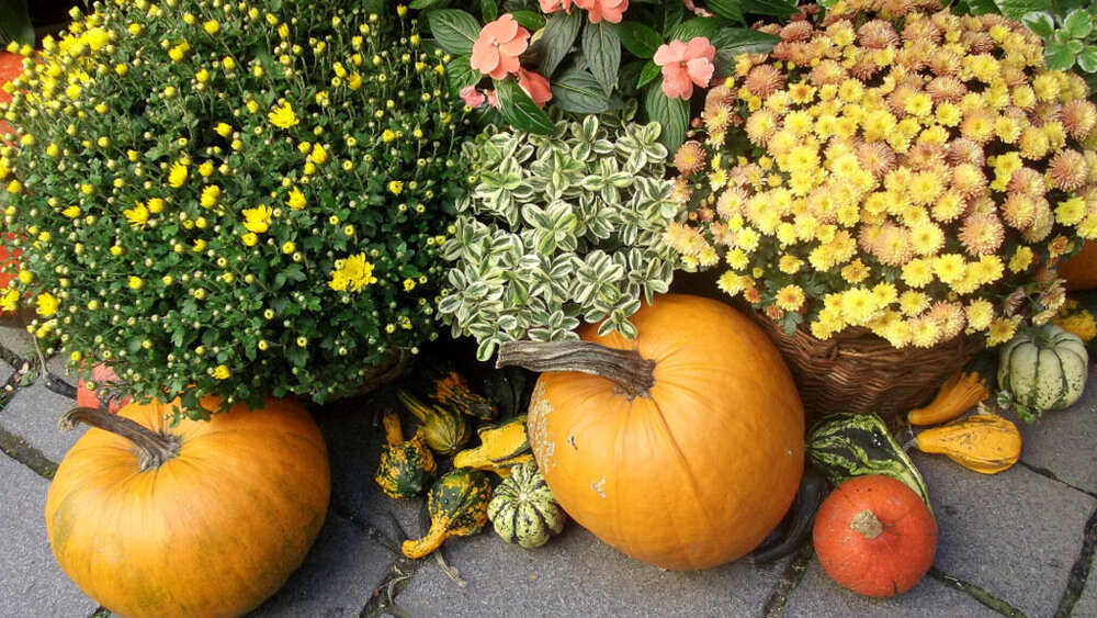 Золотые стёжки Чешского Рая 1763.JPG