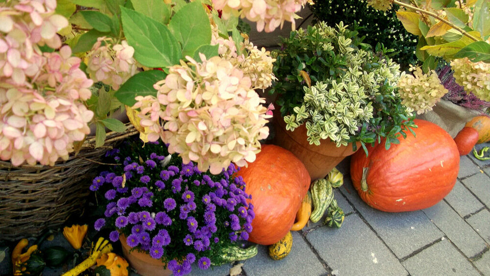 Золотые стёжки Чешского Рая 1770.JPG