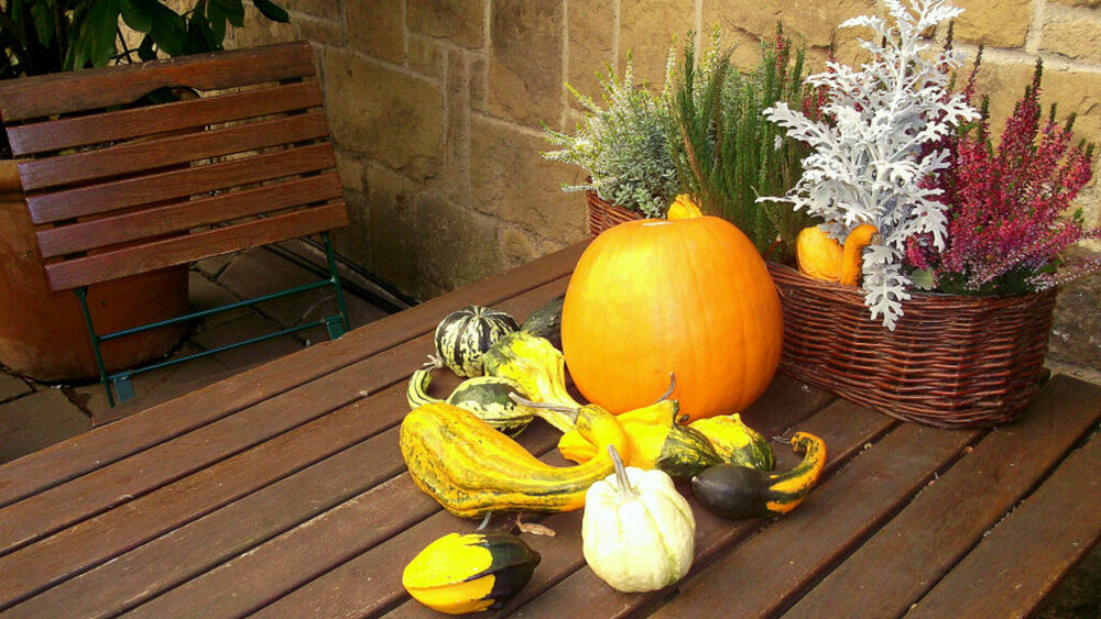 Золотые стёжки Чешского Рая 1765.JPG