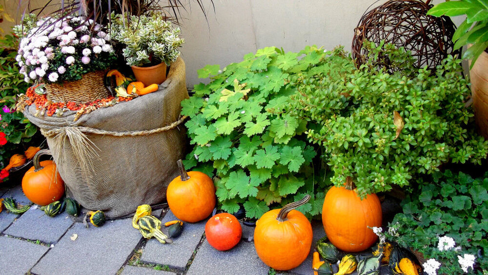 Золотые стёжки Чешского Рая 1768.JPG