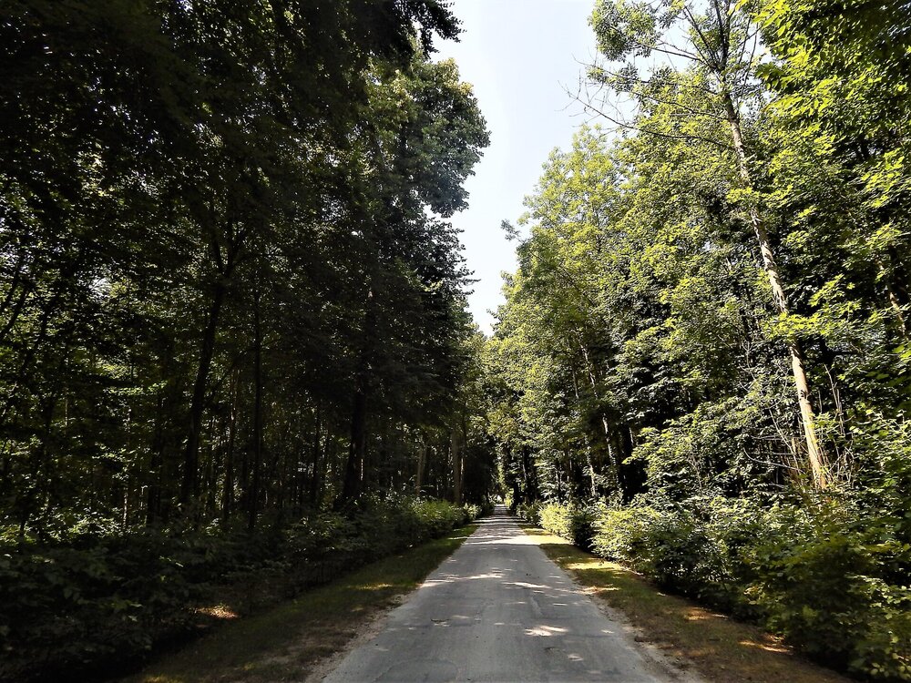 Шантийи(дорога обратно3).jpg