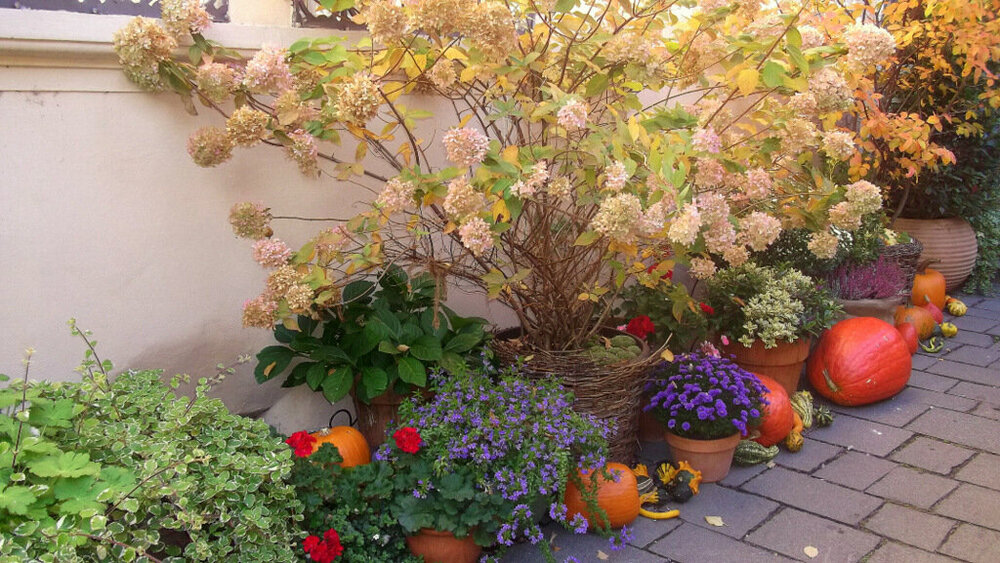 Золотые стёжки Чешского Рая 1767.JPG