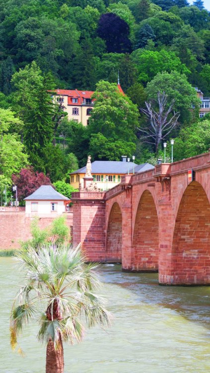 Солнечная Германия 117.jpg