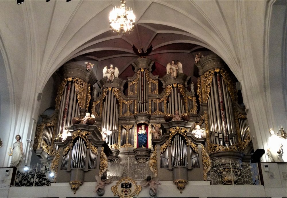 19.05.02_114_Калининград_Кафедральный собор.jpg