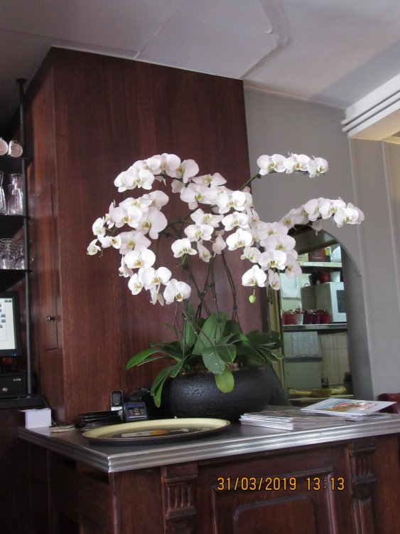 2019 Париж март 233.JPG