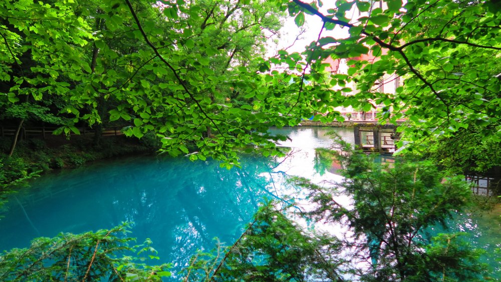 Солнечная Германия 695.jpg