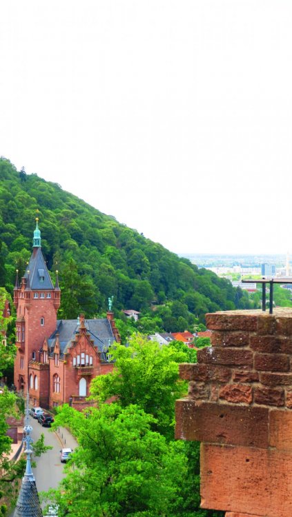 Солнечная Германия 135.jpg