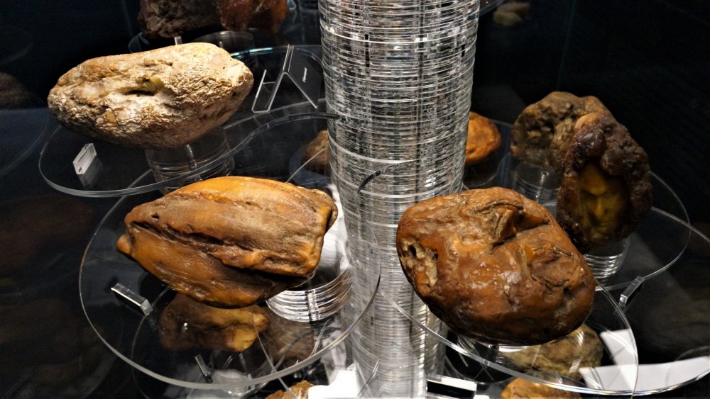 19.05.07_025_Янтарный_Музей янтаря.JPG