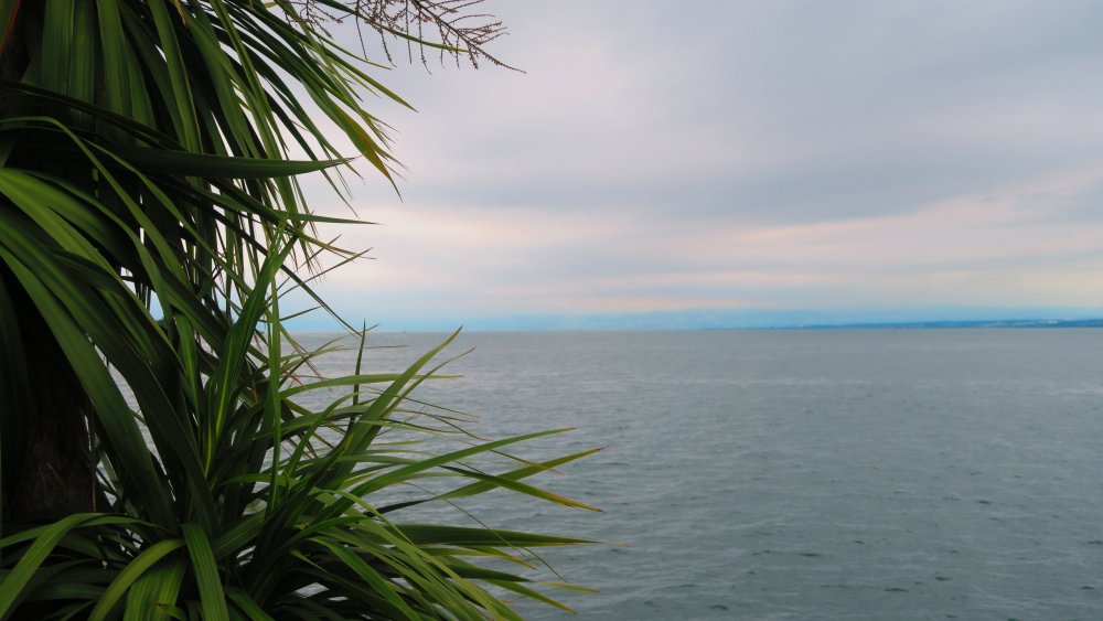 Солнечная Германия 578.jpg