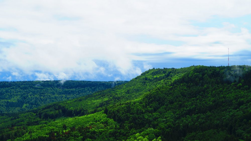 Солнечная Германия 615.jpg