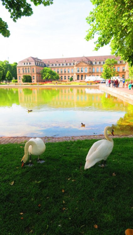 Солнечная Германия 227.jpg