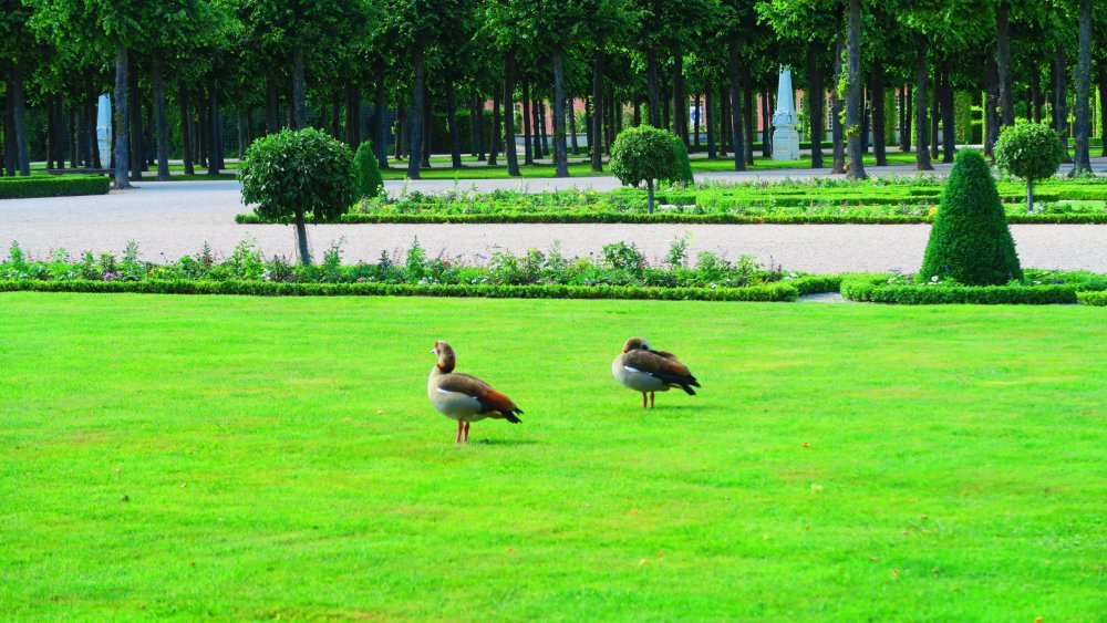 Солнечная Германия 172.jpg