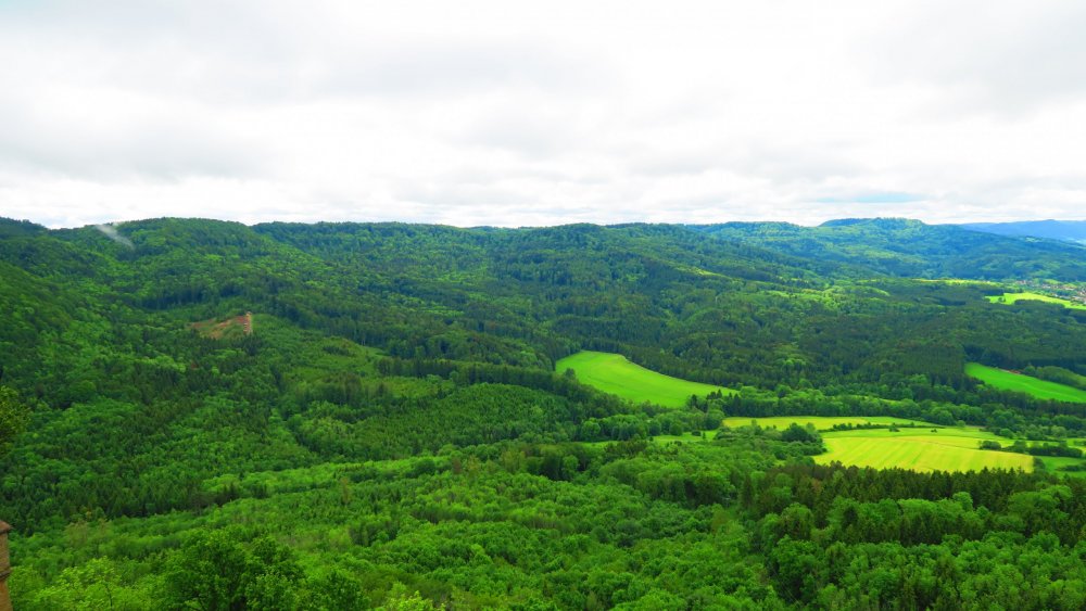 Солнечная Германия 620.jpg