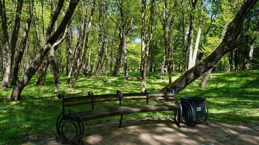 19.05.07_185_Янтарный_парк имени Беккра.JPG