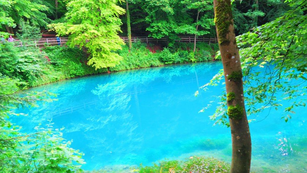 Солнечная Германия 691.jpg