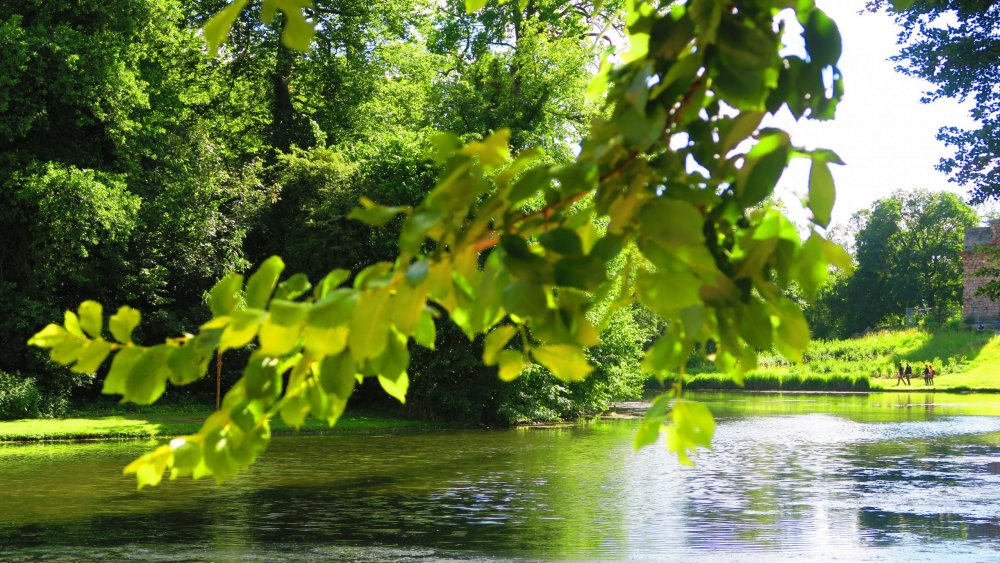 Солнечная Германия 195.jpg