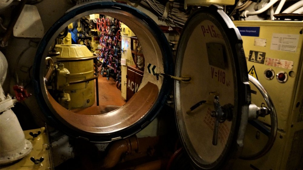 19.05.06_198_Калининград_Музей мирового океана.JPG