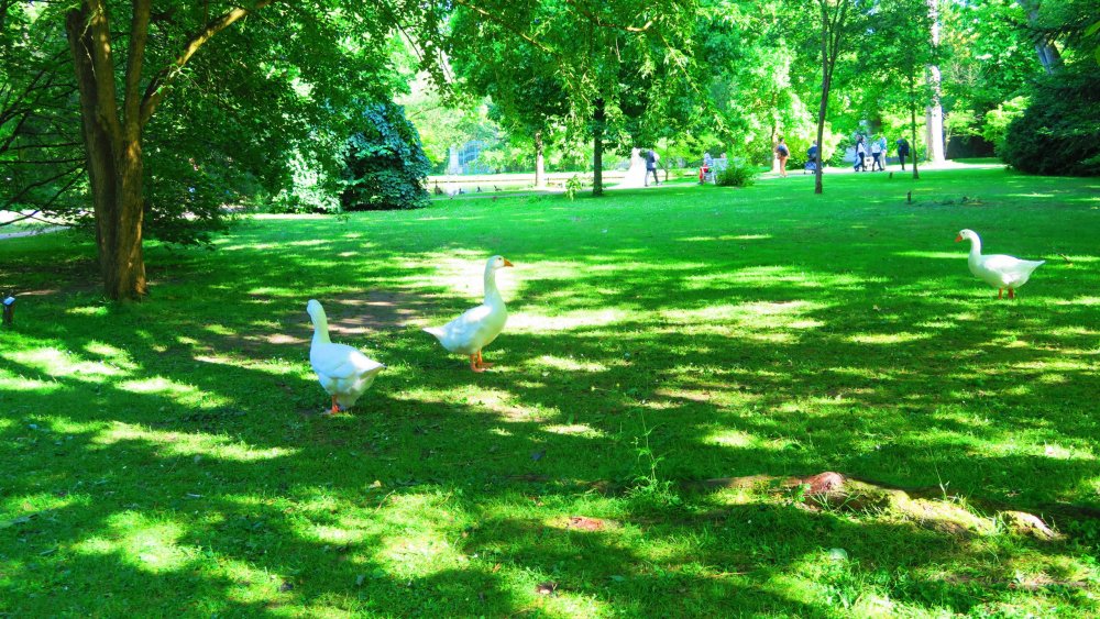 Солнечная Германия 208.jpg