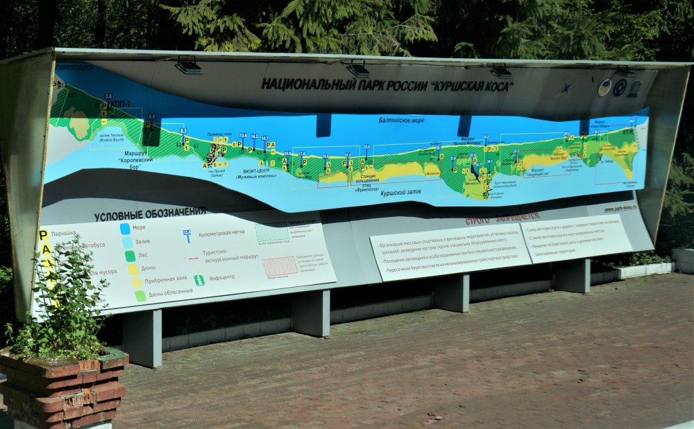 19.05.06_003_Куршская коса.JPG