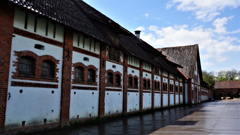 19.05.05_102_Черняховск_Конезавод Георгенбург.JPG