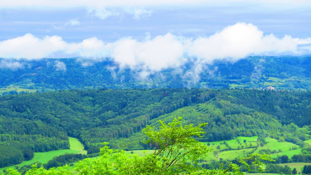 Солнечная Германия 616.jpg