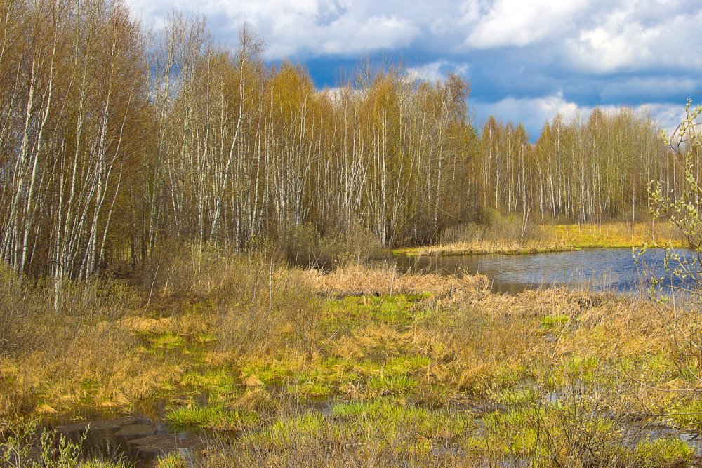 IMG_6883-1 Природа Марий Эл.jpg