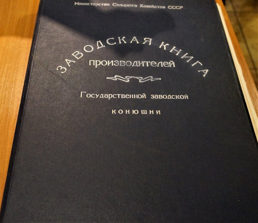 19.05.05_085_Черняховск_Конезавод Георгенбург.JPG