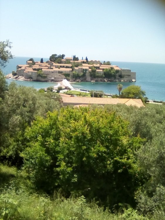 Изображение 104.jpg