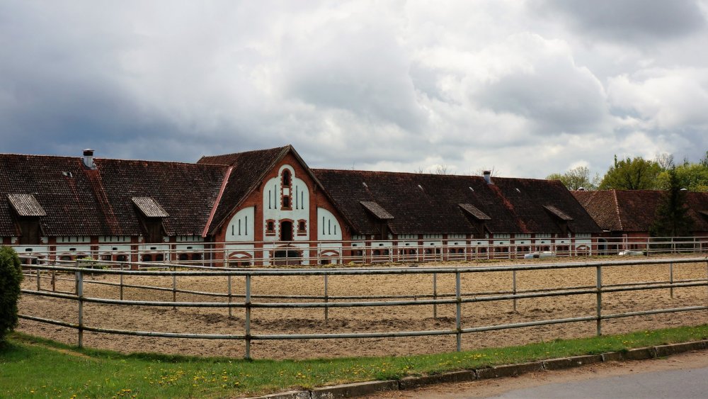 19.05.05_067_Черняховск_Конезавод Георгенбург.JPG