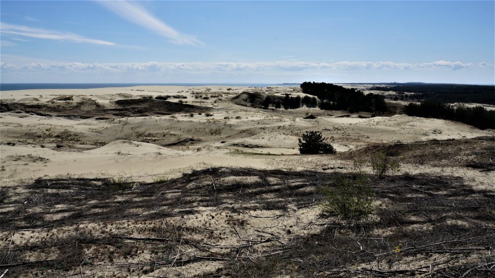 19.05.06_119_ Куршская коса_ Высота Эфа (дюна).JPG