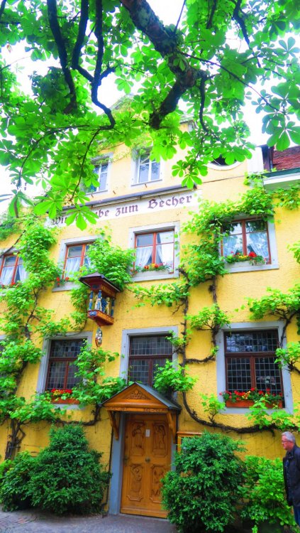 Солнечная Германия 554.jpg