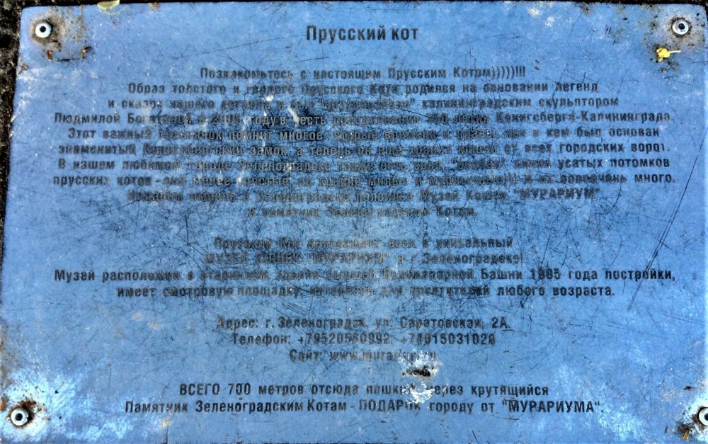 19.05.03_295_Зеленоградск_Прусский кот.jpg