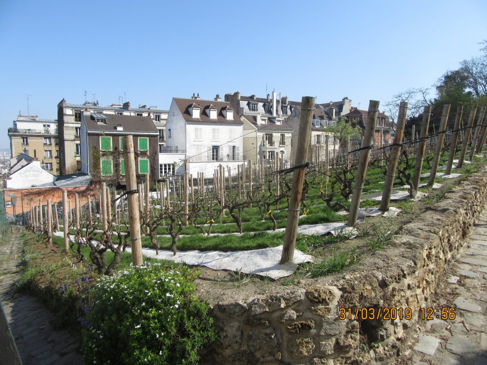 2019 Париж март 201.JPG