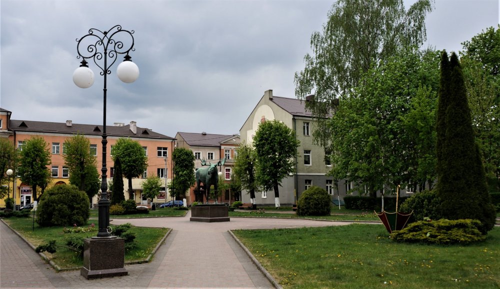 19.05.04_338_ Гусев.JPG