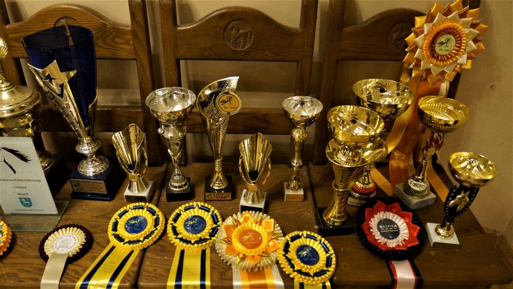 19.05.05_070_Черняховск_Конезавод Георгенбург.JPG