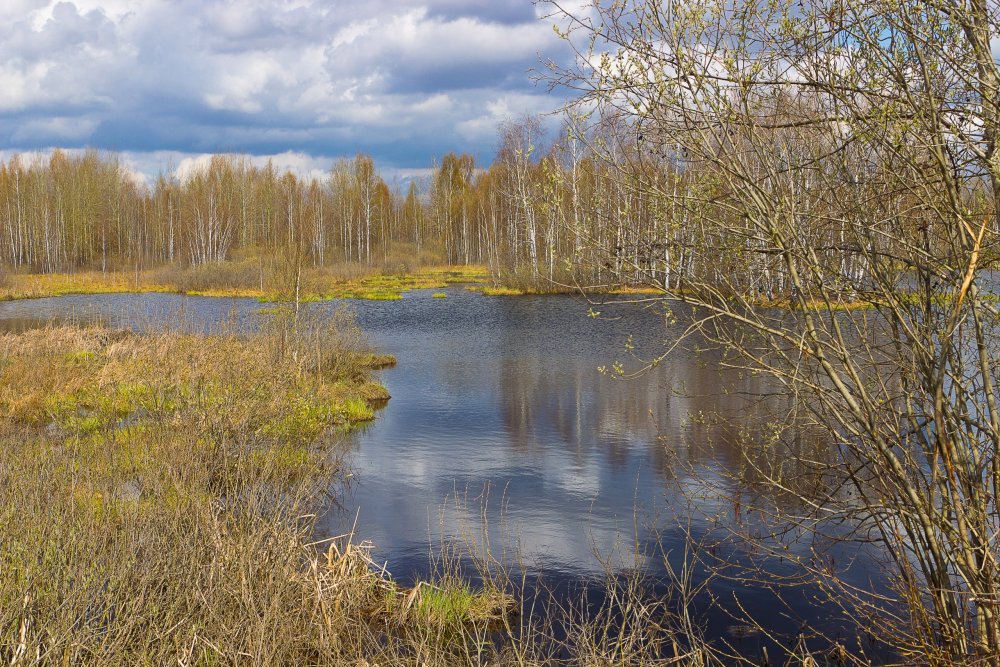 09_IMG_6880-1 Природа Марий Эл.jpg