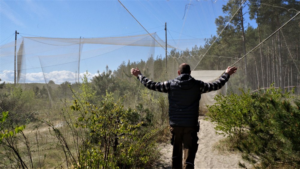 19.05.06_012_Куршская коса_Станция кольцевания птиц.JPG