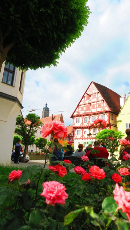 Солнечная Германия 719.jpg