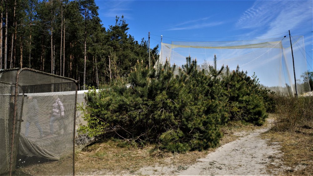 19.05.06_019_Куршская коса_Станция кольцевания птиц.JPG