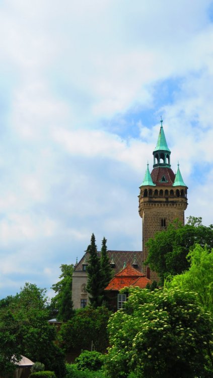 Солнечная Германия 001.jpg